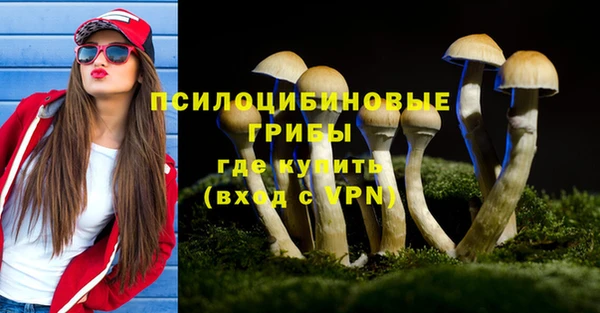 2c-b Алексин